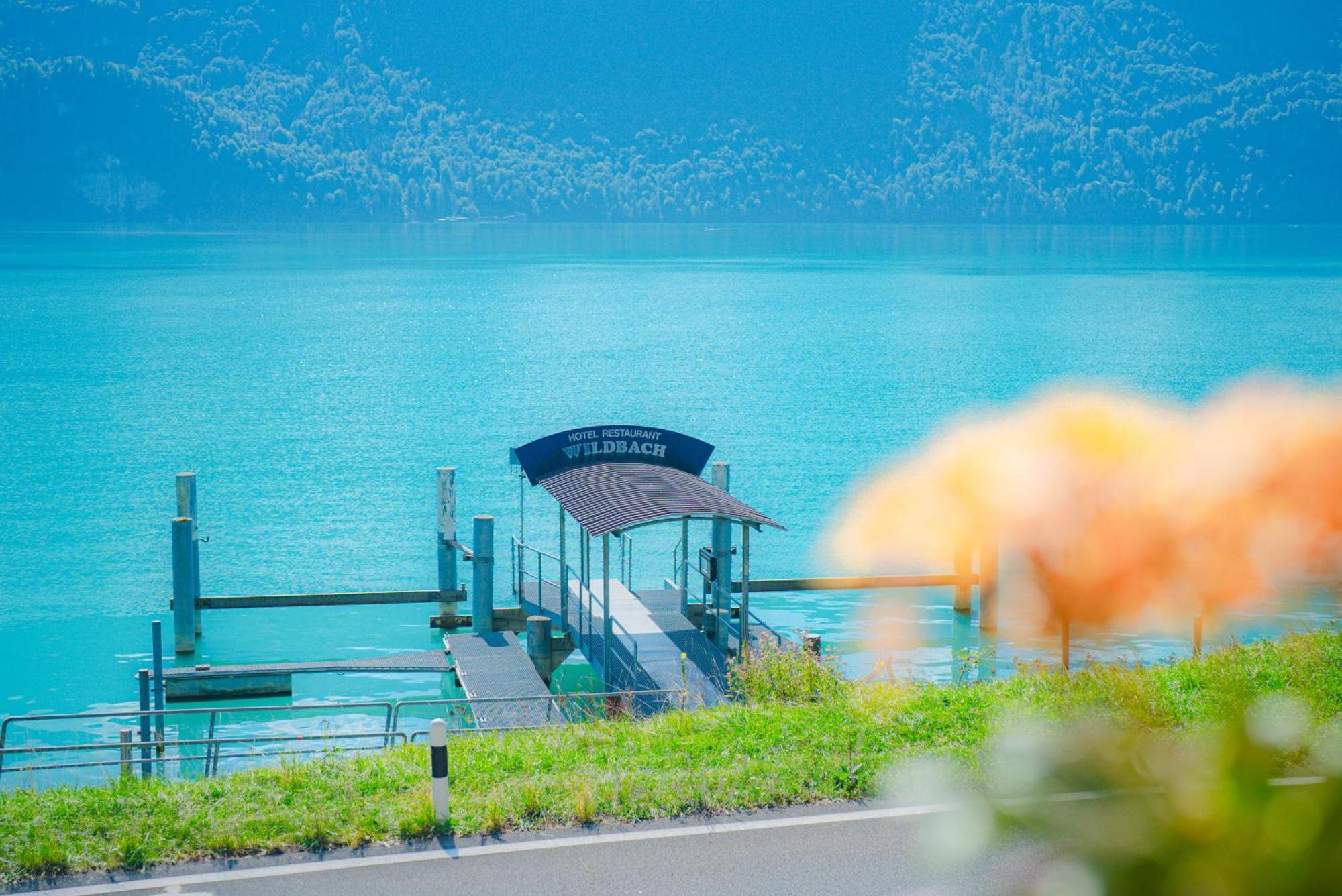 Hotel Wildbach Brienz Brienz  Exterior foto